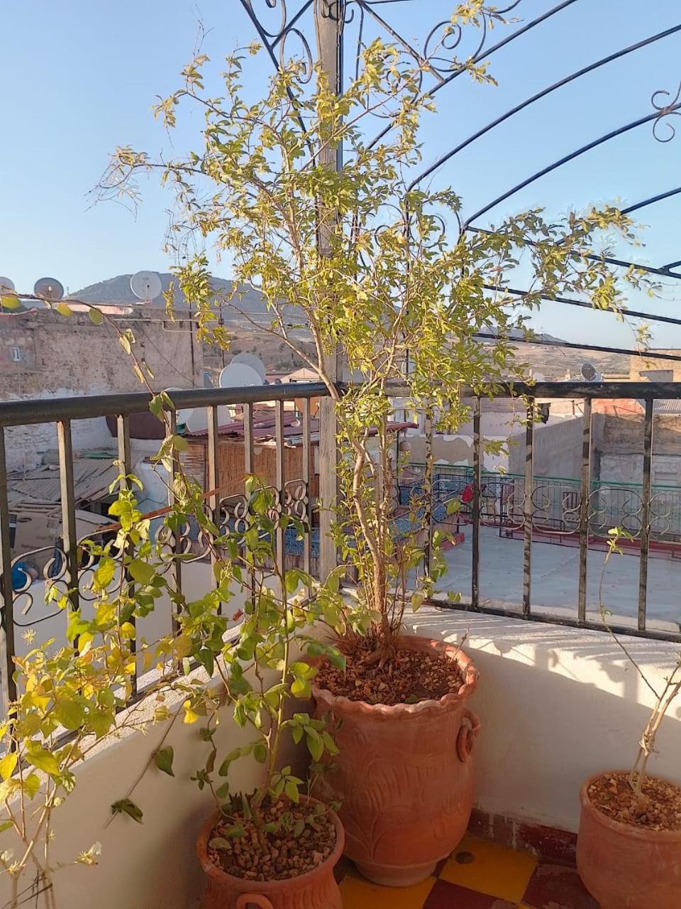 Riad Drissia Panoramic فاس المظهر الخارجي الصورة