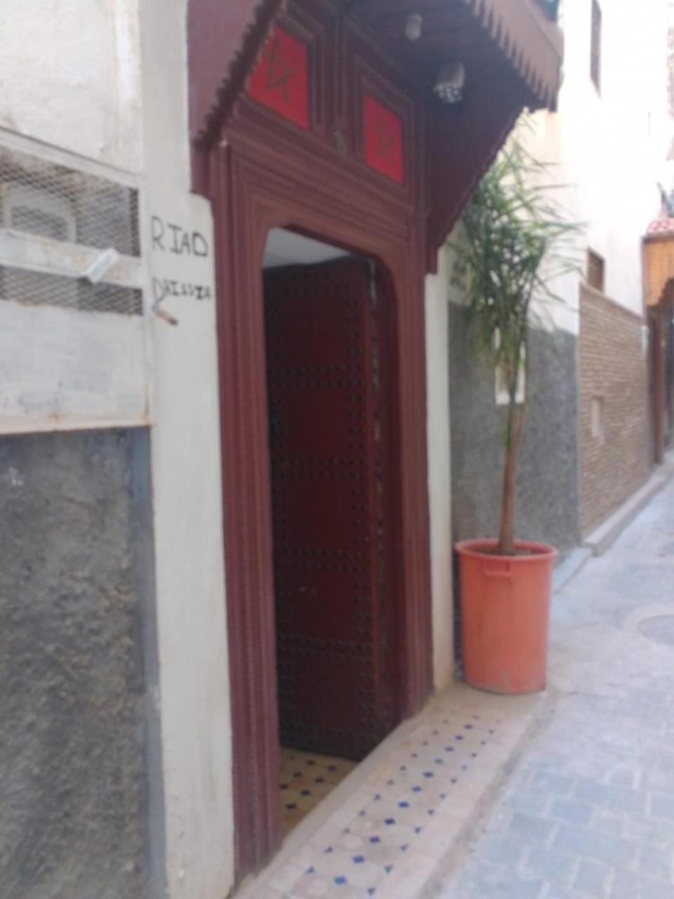 Riad Drissia Panoramic فاس المظهر الخارجي الصورة